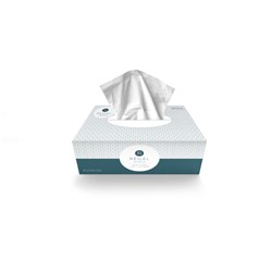 REGAL FACIAL TISSUES 2 PLY 200sheets (2 PLY) (ctn 32)