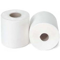 LIVI TOILET TISSUE 2PLY 250SHT CARTON 48 13 04 G